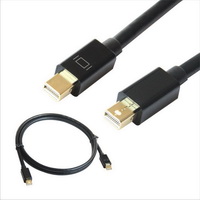 Mini DisplayPort